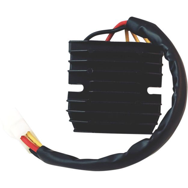 RICK'S MOTORSPORT ELECTRIC Ανορθωτής 10-213H