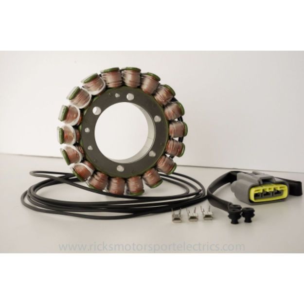 RICK'S MOTORSPORT ELECTRIC Πηνεία 21-428