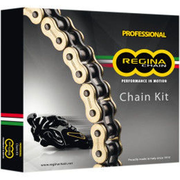 REGINA ΓΡΑΝΑΖΙΑ ΑΛΥΣΙΔΑ ΣΕΤ 15/45/520/114 Gold KK088