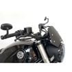 ΖΕΛΑΤΙΝΑ ΜΟΤΟΣΥΚΛΕΤΑΣ WRS SPORT BENELLI LEONCINO 500 ABS 2017 2021 ΜΑΥΡΗ ΜΑΤ