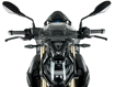 ΖΕΛΑΤΙΝΑ SPORT WRS BMW S1000R ΔΙΑΦΑΝΗ