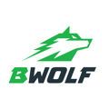B-WOLF